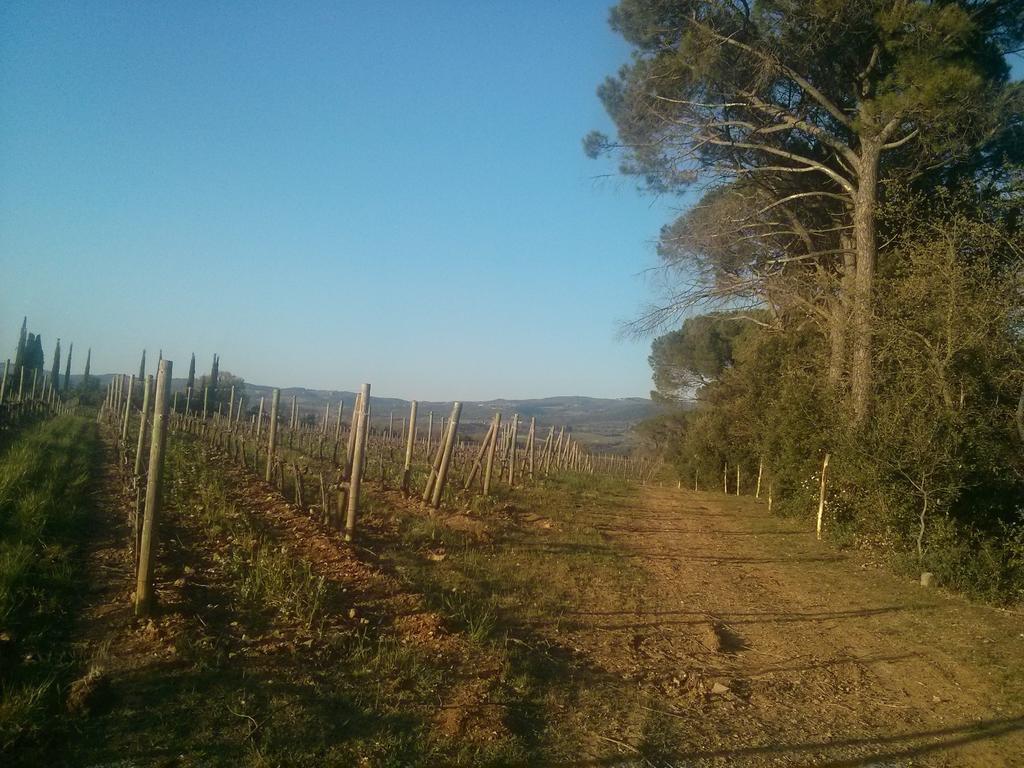 Argiano Dimore Wine Relais 外观 照片